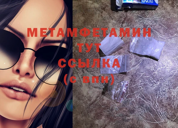 прущие грибы Богородск