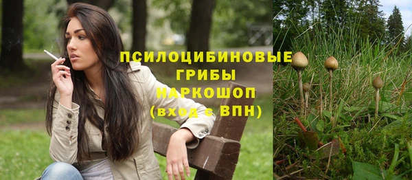 прущие грибы Богородск