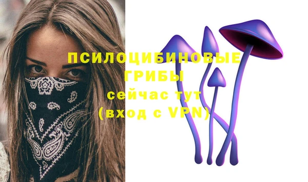 альфа пвп Богданович