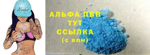 прущие грибы Богородск