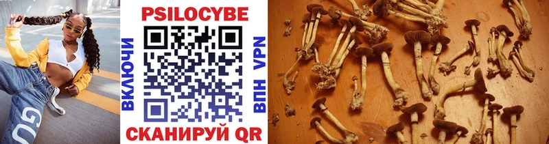 Купить закладки  Нюрба  Галлюциногенные грибы прущие грибы 