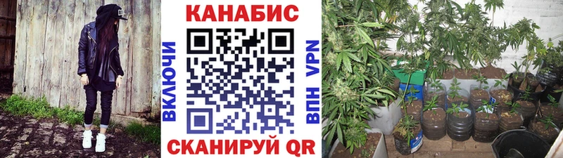 Купить где  Нюрба  Канабис ГИДРОПОН 